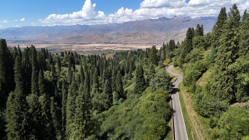 新疆·縱貫天山南北疆十二天越野車自駕遊